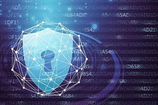 網(wǎng)貸系統(tǒng)等級保護(hù)備案與網(wǎng)絡(luò)信息安全軟件開發(fā)